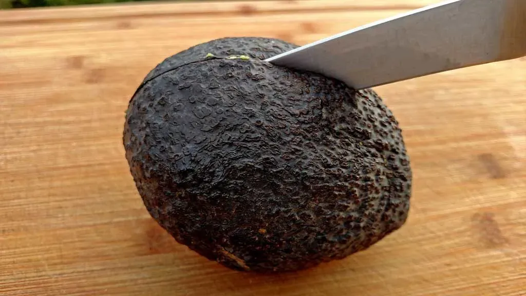 avocado.webp