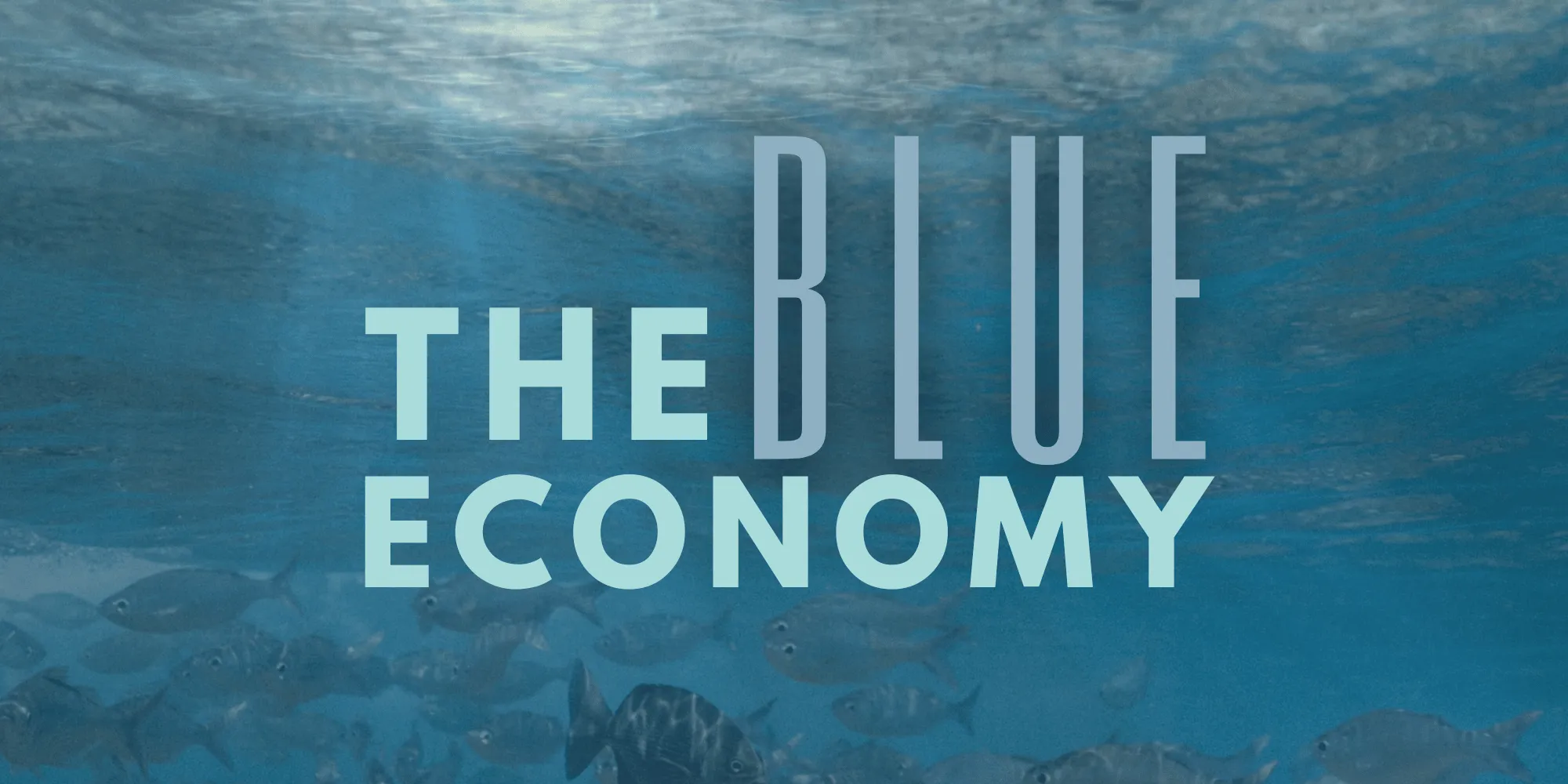 blue economy.webp