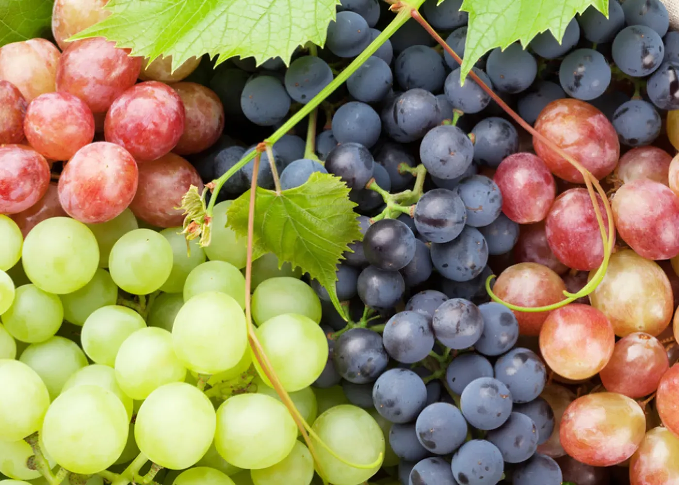 grapes.webp