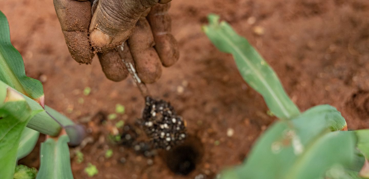 soil.jpg